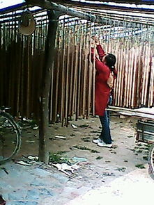 河南竹木加工廠 竹簽、二手制香機與營林機械制造的綜合服務